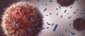Immunzellen attackieren Tuberkulose-Bakterien. (Computergrafik) 