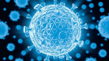 Retroviren wie HIV haben die Evolution der Wirbeltiere, auch des Menschen, entscheidend beeinflusst. 