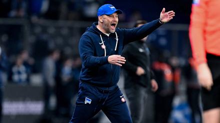 Hertha-Trainer Pal Dardai war sichtlich erregt über den Chancenwucher seines Teams.