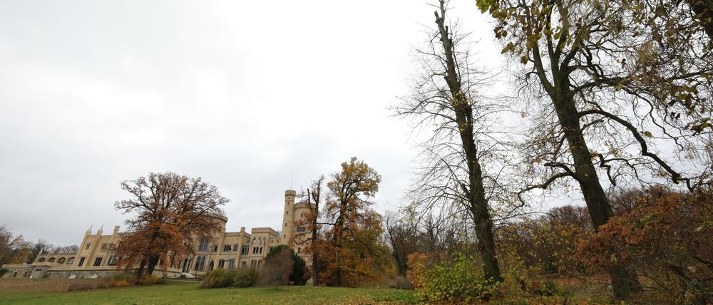 Im Park Babelsberg zeigen sich die Folgen des Klimawandels. 