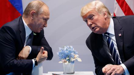 G20-Gipfel 2017 in Hamburg: Wladimir Putin (l.), Präsident von Russland, und Donald Trump, Präsident der USA.