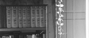 Vielleicht eine Testaufnahme von Alexander Gurzhy.