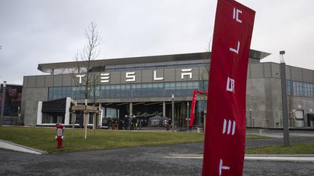 ARCHIV - 14.01.2024, Brandenburg, Grünheide: Vor dem Eingang der Tesla Fabrik «Gigafactory Berlin-Brandenburg» steht eine Flagge mit dem Schriftzug «Tesla». US-Elektroautobauer Tesla informiert mit einer Informationsveranstaltung über die geplante Erweiterung der Fabrik. (zu dpa: «Ja oder Nein zu Tesla-Erweiterung - Viel Interesse an Bürgerbefragung») Foto: Christophe Gateau/dpa +++ dpa-Bildfunk +++
