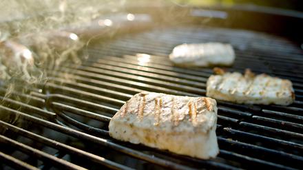 Halloumi, ein halbfester, nicht schmelzender Käse, auch Grillkäse genannt.