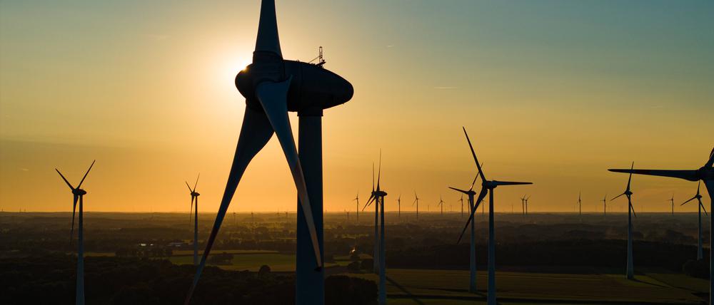 Windkraftanlagen sind im Licht der niedrig stehenden Sonne in einem Windpark zu sehen.