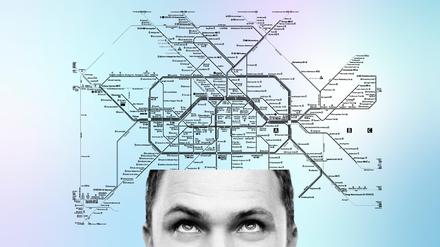 Illustration: Liniennetz mit Kopf.