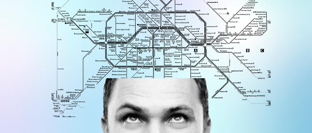 Illustration: Liniennetz mit Kopf.