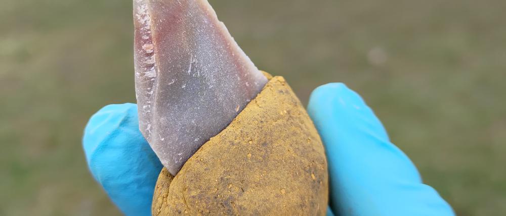 Nachbildung eines Klebers auf Bitumenbasis: Das Steinwerkzeug wurde in einen Griff aus Flüssigbitumen mit 55 Prozent Ockerzusatz geklebt.