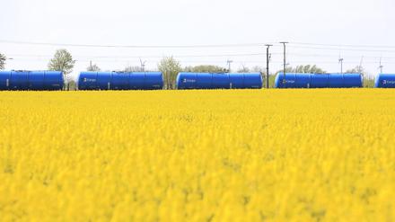 Güterzug, Rapsfeld bei Kartzow, Raps, Reps, Lewat, Güterverkehr, logistik, Landwirtschaft, Land Brandenburg, 10.05.2021, Foto: Sebastian Gabsch