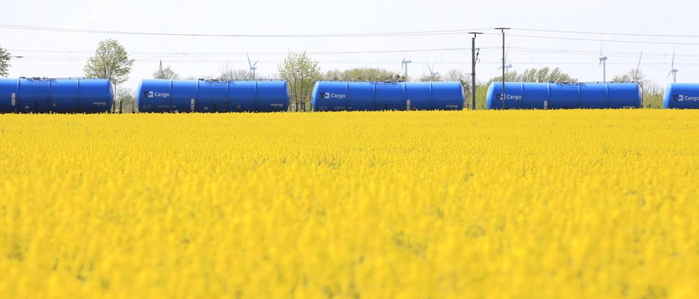 Güterzug, Rapsfeld bei Kartzow, Raps, Reps, Lewat, Güterverkehr, logistik, Landwirtschaft, Land Brandenburg, 10.05.2021, Foto: Sebastian Gabsch