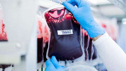 Blutkonserven werden im Zentrallabor des DRK-Blutspendedienstes für Krankenhäuser und Praxen gefiltert und aufbereitet.