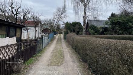 Über Jahrzehnte wuchsen die Lauben in Heiligensee unkontrolliert. Oft ohne Baugenehmigung. 