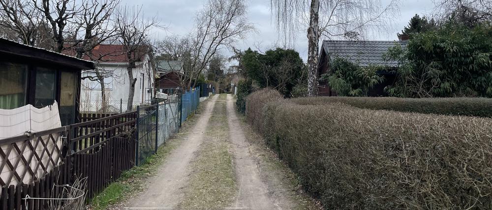 Über Jahrzehnte wuchsen die Lauben in Heiligensee unkontrolliert. Oft ohne Baugenehmigung. 