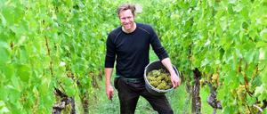 Kulinarischer Kalender