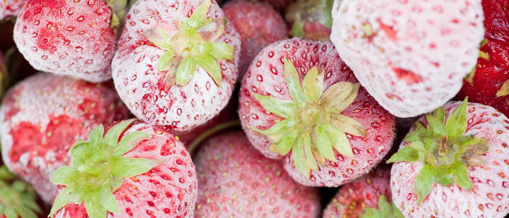 Im Jahr 1289 behielten im Elsass die Bäume ihre Blätter, bis neue austrieben, zu Weihnachten wurden Erdbeeren gegessen und die Weinreben trieben Mitte Januar aus.