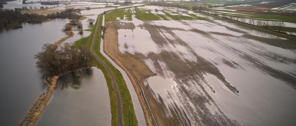 21.02.2024, Brandenburg, Groß Kreutz: Die Havelwiesen bei Schmergow im Landkreis Potsdam-Mittelmark stehen aufgrund der langen Regenperiode fast vollständig unter Wasser. 