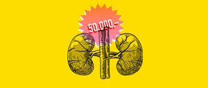 Die Menschen in Deutschland vermeiden die Auseinandersetzung mit der Organspende. Sollte man sie mit Geld ködern? Es gibt ein paar Ideen und sehr viele Vorbehalte.