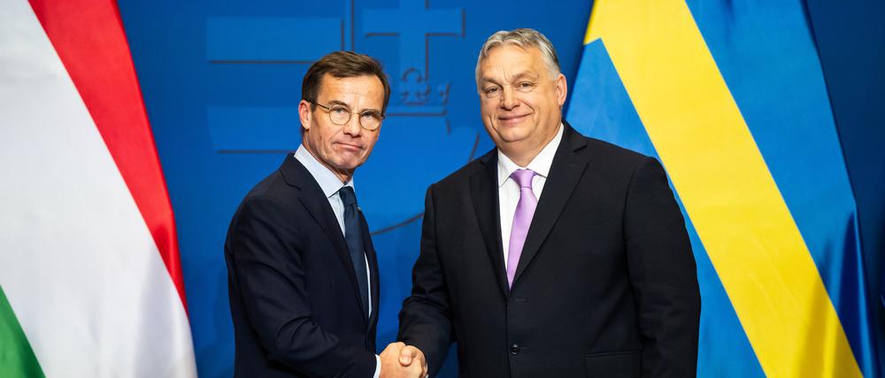 Und darauf die Hand: Schweden und Ungarn vereinbaren einen gemeinsamen Rüstungsdeal.