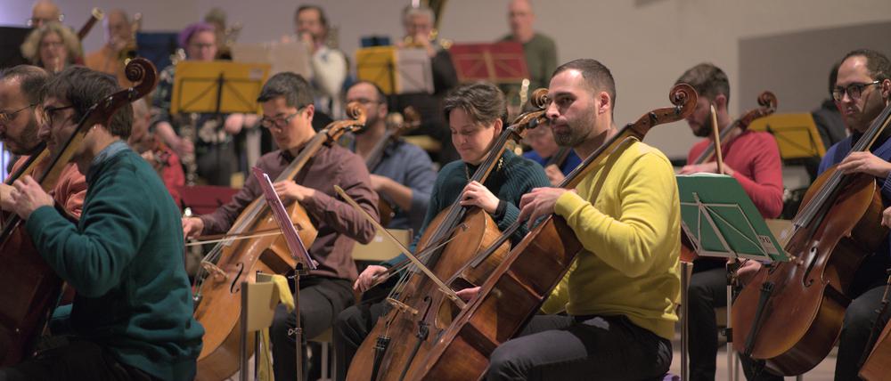 Die meisten Mitglieder des Orchesters üben bürgerliche Berufe aus, sind Juristen oder Mediziner, manche Schul- und einige auch Profimusiker.