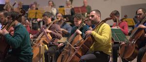 Die meisten Mitglieder des Orchesters üben bürgerliche Berufe aus, sind Juristen oder Mediziner, manche Schul- und einige auch Profimusiker.