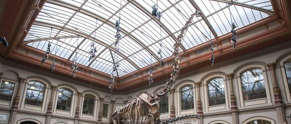Der Sauriersaal im Berliner Naturkundemuseum.
