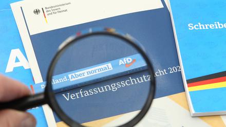 Der Verfassungsschutz will offenbar ein neues Gutachten zur AfD erstellen.
