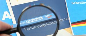 Der Verfassungsschutz will offenbar ein neues Gutachten zur AfD erstellen.