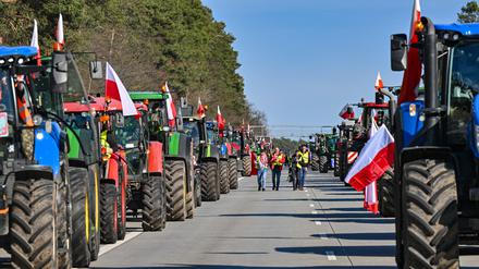 25.02.2024, Polen, Slubice: Landwirte aus Polen sind auf der Autostrada A2 (Europastraße 30) mit ihren Fahrzeugen in Richtung der deutsch-polnischen Grenze (Frankfurt/Oder) unterwegs.