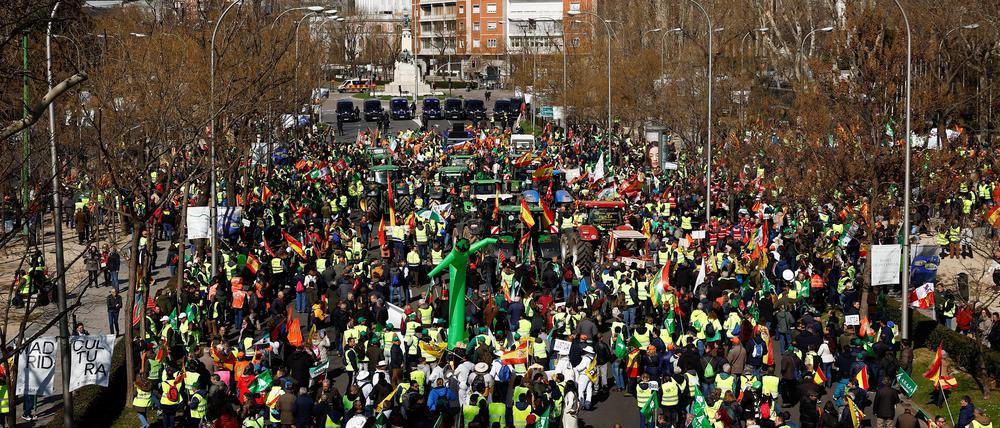Spanish farmers protest over price pressures, taxes and green regulation and grievances shared by farmers across Europe, at Paseo de la Castellana street in Madrid.
