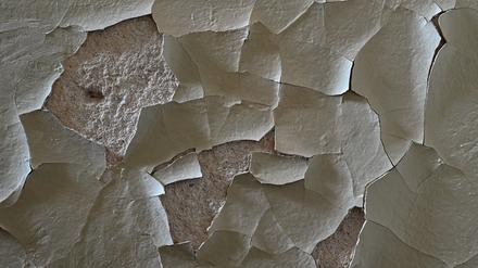 Gerissen und abgeblättert ist Farbe an einer Zimmerwand. 