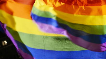 ARCHIV - 06.02.2014, Berlin: Regenbogenfahnen wehen auf der Demonstration der Kampagne «Gay Folks Movement» gegen die Verfolgung von Homosexuellen und Transgendern in Russland am 07.02.2014 in Berlin auf dem Potsdamer Platz. Foto\ Jens Kalaene/dpa (zu dpa: «Deutlich mehr Straftaten mit Bezug auf sexuelle Orientierung») Foto: Jens Kalaene/dpa +++ dpa-Bildfunk +++