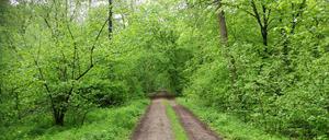 Nüscht und niemand: An der Laufstrecke im Havelland.