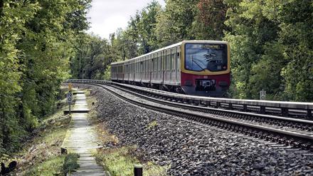 Ein Zug der S9, die den Flughafen BER via Grünauer Kreuz mit der Berliner Innenstadt verbindet.