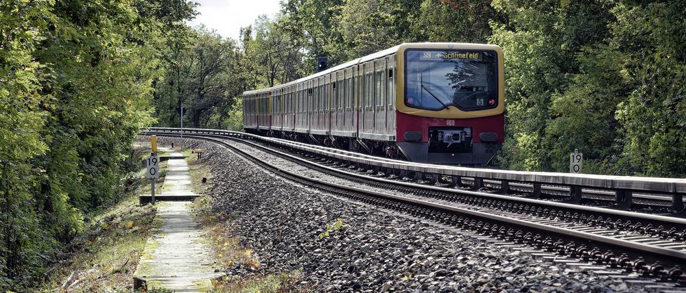 Ein Zug der S9, die den Flughafen BER via Grünauer Kreuz mit der Berliner Innenstadt verbindet.
