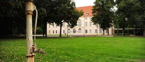 Das  Schloss Schönhausen.