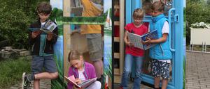Eine Bücherzelle, wie diese hier in Geltow, soll nun am Marktcenter in Potsdam aufgebaut werden.