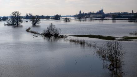28.02.2024, Sachsen-Anhalt, Tangermünde: Wasser steht auf den Polderflächen der Elbe. Im Hintergrund sind Gebäude und Kirchen der Stadt Tangermünde zu sehen. Die Elbe führt derzeit Hochwasser, so dass entlang der Elbe viele Agrar und Polderflächen unter Wasser stehen. In den kommenden Tagen ist aber kein Regen sicht. Foto: Klaus-Dietmar Gabbert/dpa - Honorarfrei nur für Bezieher des Dienstes ZB-Funkregio Ost +++ ZB-FUNKREGIO OST +++