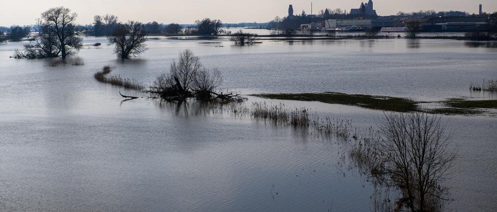 28.02.2024, Sachsen-Anhalt, Tangermünde: Wasser steht auf den Polderflächen der Elbe. Im Hintergrund sind Gebäude und Kirchen der Stadt Tangermünde zu sehen. Die Elbe führt derzeit Hochwasser, so dass entlang der Elbe viele Agrar und Polderflächen unter Wasser stehen. In den kommenden Tagen ist aber kein Regen sicht. Foto: Klaus-Dietmar Gabbert/dpa - Honorarfrei nur für Bezieher des Dienstes ZB-Funkregio Ost +++ ZB-FUNKREGIO OST +++