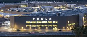 Gruenheide, 23.10.2023 - Tesla Gigafactory.