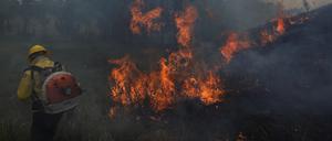 Leichter Temperaturanstieg im globalen Mittel kann regional extreme Folgen haben.