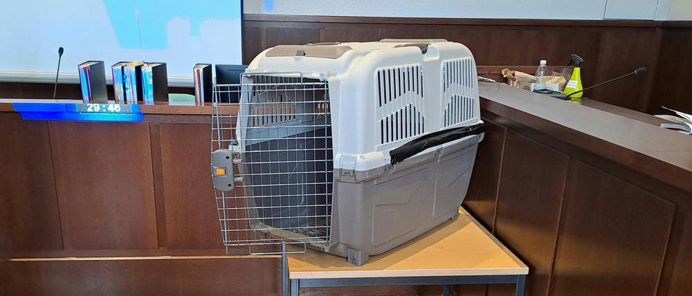 Eine Hundebox steht im Verhandlungssaal vom Landesgericht Krems während des Prozesses u.a. wegen versuchten Mordes gegen eine Mutter, die ihr Kind gequält und in eine Hundebox gesperrt haben soll.