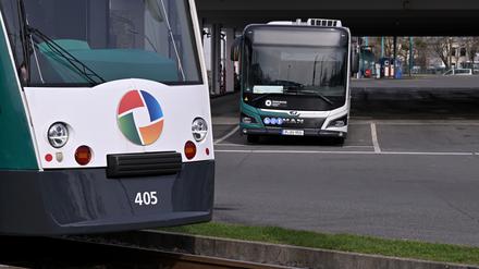 Potsdam, 26.02.2024, Lokales, Jahresauftakt PK Verkehrsbetriebe, ViP Verkehrsbetrieb Potsdam, Tram, Straßenbahn, Strassenbahn, Bus, Busse, Symbolfoto, Genrebild, ÖPNV, OEPNV, Öffentlicher Personennahverkehr, Oeffentlicher Personennahverkehr, Foto: Ottmar Winter 