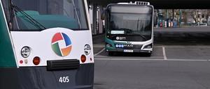 In Potsdam fahren Busse und Bahnen des Verkehrsbetriebs (ViP).