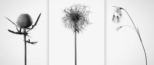 In der Galerie Albrecht sind Bilder mit einem besonderen Zugang zur alpinen Landschaft zu sehen. 