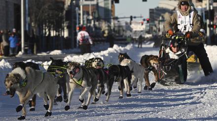 Mats Pettersson aus Schweden biegt während des feierlichen Starts des Iditarod Trail Schlittenhunderennens in Anchorage, Alaska, in die Cordova Street ein. 