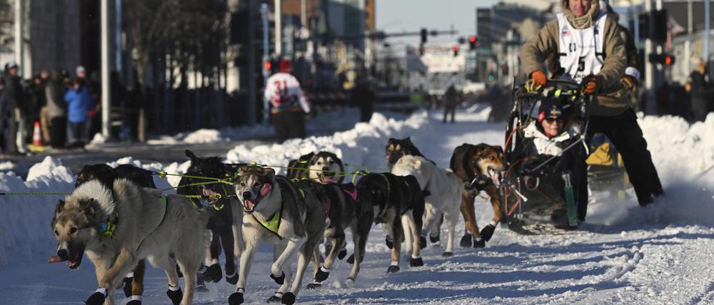 Mats Pettersson aus Schweden biegt während des feierlichen Starts des Iditarod Trail Schlittenhunderennens in Anchorage, Alaska, in die Cordova Street ein. 