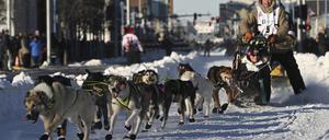 Mats Pettersson aus Schweden biegt während des feierlichen Starts des Iditarod Trail Schlittenhunderennens in Anchorage, Alaska, in die Cordova Street ein. 