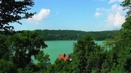 Blick über den Schermützelsee