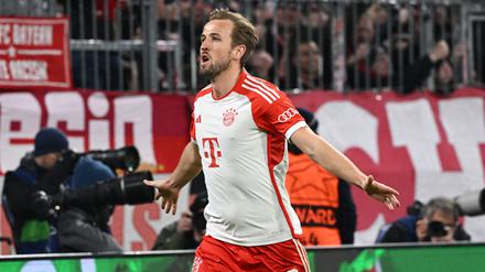 Harry Kane jubelt nach seinem Tor. 