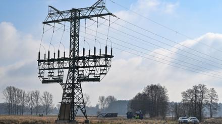 Ein Strommast steht mit Brandspuren auf einem Feld nahe der Tesla-Autofabrik.